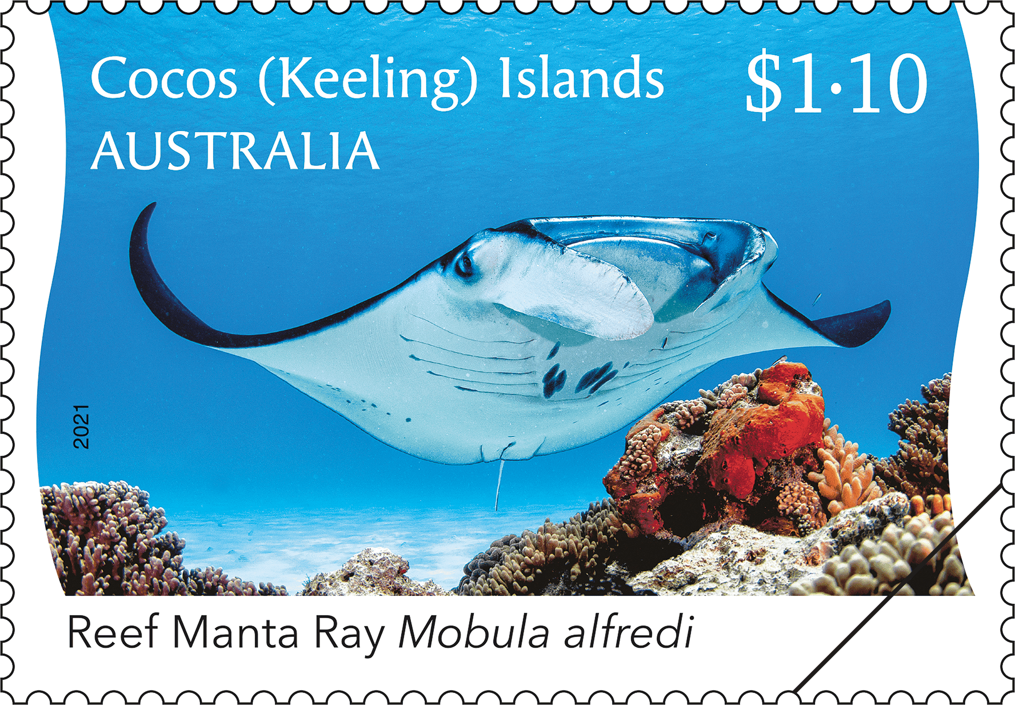 CKI Manta Ray stamp_01_400 $1.10 Reef Manta Ray – ventral view