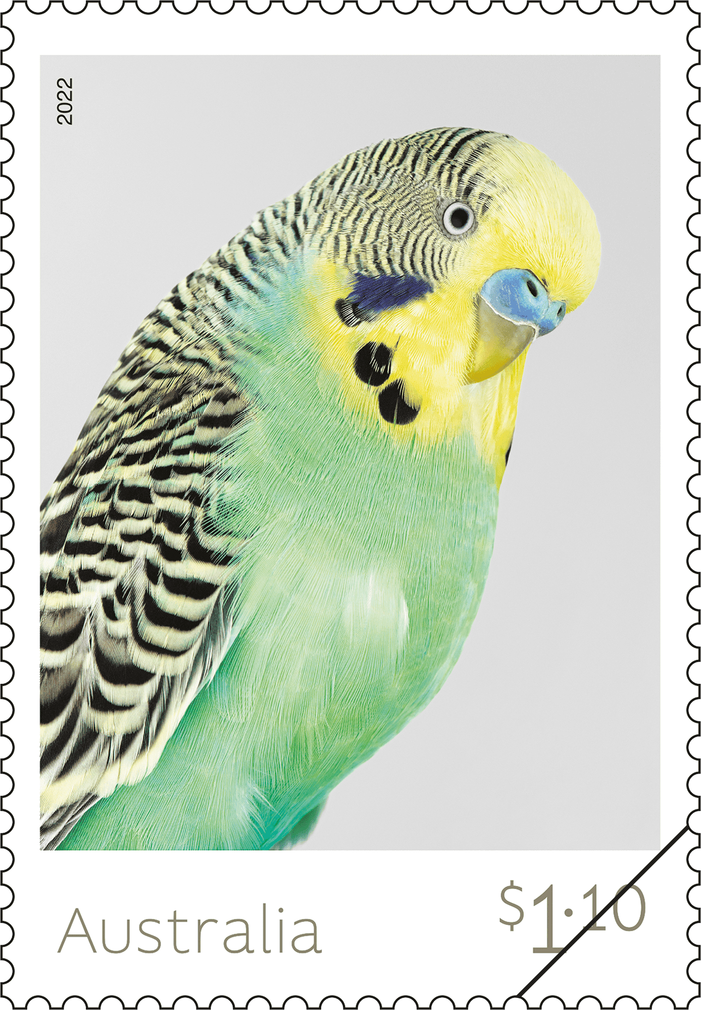Budgies_Stamp_01_400 $1.10 Celery