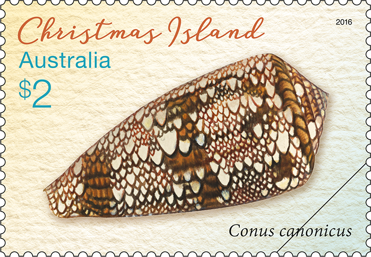 $2 Conus canonicus stamp
