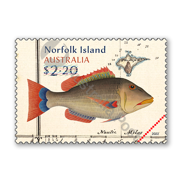 George Raper on Norfolk Island: 1790–91 | Australia Post Collectables